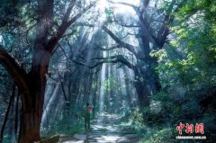 中意专家四川共话线性文化遗产保护 盼深化国际交流合作